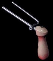 Ornament Tool